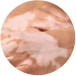MEDICAL DERMATOLOGY